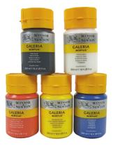 Set Tinta Acrílica Galeria Winsor 05 Cores Básicas 250ml