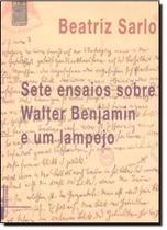 Sete Ensaios Sobre Walter Benjamin e um Lampejo - UFRJ