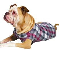 Seu doguinho tá pronto pro close Com essa roupinha pet dos sonhos, ele vai ficar quentinho