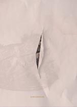 Shades Of Desire:ways Desire Penetrates Fashion, Design And art