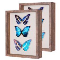 Shadow Box Frame Califortree 11x14 Rustic Brown, pacote com 2