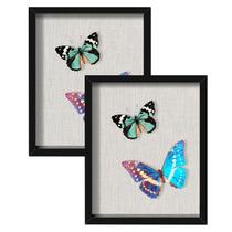 Shadow Box Frame Califortree 8x10 polegadas, madeira rústica preta x2