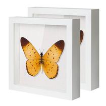 Shadow Box QDSSDECO 10x10 com linho macio e frente de vidro