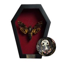 Shadow Box VINADECOR Real Death Head Moth White Skull