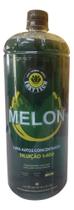 Shampoo 1:400 Melon Concentrado 1,5l Neutro Easytech Automot