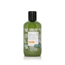 Shampoo 4 x 1 (cabelo, corpo, barba e bigode) 250ml
