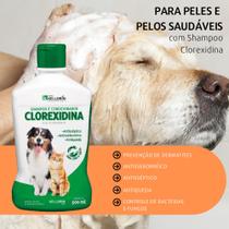 Shampoo 5 Em 1 Clorexidina Dermatites Antiqueda P/ Cachorro