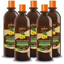 Shampoo Alecrim e Arnica 500ml - 5 unidades - Yabae - Vegano 2500ml