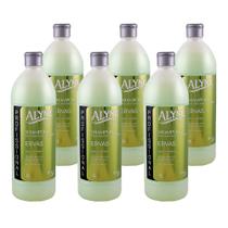 Shampoo Alyne Salon Ervas Profissional Nutre E Fortalece Sem Parabenos 1 Litro (Kit com 6)