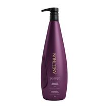 Shampoo Aneethun Defrizante No Frizz System 1l Wetblock Shampoo Aneethun Defrizante No Frizz System 1l Wetblock