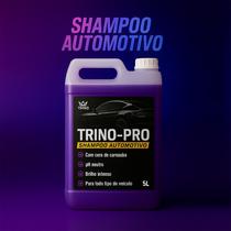 Shampoo Automotivo Com Cera De Carnaúba para Lavagem de Carro e Moto Xampu Automotivo