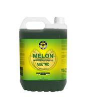 Shampoo Automotivo Snow Foam Concentrado Easytech Melon 5l