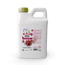 Shampoo Banho e Tosa Dream Color Framboesa - 5L