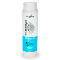 Shampoo Begonia Reconstrução Capilar 400ml