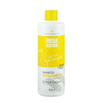 Shampoo Bora Rapunzel - Crescimento - 500Ml