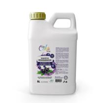 Shampoo Branqueador Dream Color Blueberry Kiss - 5L