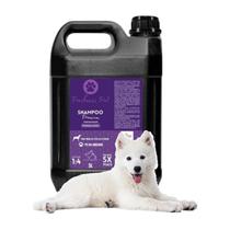 Shampoo Branqueador Pet Cães e Gatos Pelagem Clara 5 litros Diluição 1:4