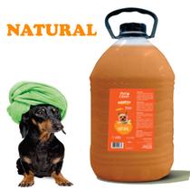 Shampoo Cachorro Pet Clean Cães Gato Profissional 5 Litros Shampoo Cachorro Pet Clean Cães Gato Profissional 5 Litros