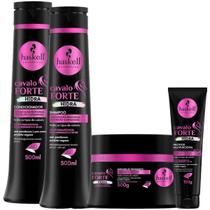 Shampoo + Cond.500ml + Masc. 300ml + Protetor Haskell Cavalo Forte Hidra