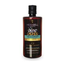 Shampoo da Hidrabell Divino Cachos 500g
