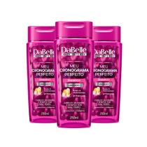 Shampoo Dabelle Hair Meu Cronograma Perfeito Biotina e Multivitaminas 250ml (Kit com 3)