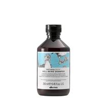 Shampoo Davines Naturaltech WELLBEING 250mL