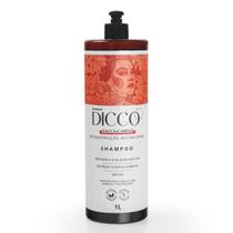 Shampoo de Reconstrução Intensa para Cabelos Danificados Salva Cabelo - DICCO