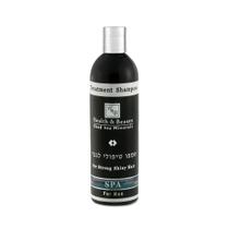 Shampoo De Tratamento Para Homens - Mar Morto - De Israel - H&b