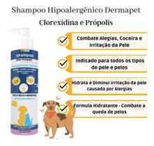 Shampoo Dermatite Clorexidina Alergias Coceiras Cães E Gatos Shampoo Dermatite Clorexidina Alergias Coceiras Cães E Gatos