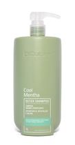 Shampoo Detox Limpeza Dermo Purificante Cool Mentha DiColore 1L Shampoo Detox Limpeza Dermo Purificante Cool Mentha DiColore 1L