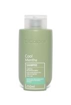 Shampoo Detox Limpeza Dermo Purificante Cool Mentha DiColore 250ml