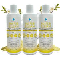 Shampoo e Sabonete Corporal Dr. Robaina Enriquecido com Enxofre 240g 2 em 1 Shampoo e Sabonete Corporal Dr. Robaina Enriquecido com Enxofre 240g 2 em 1