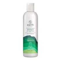 Shampoo Earth Hidratación y Repara 355 mL