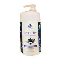 Shampoo Elabore Açaí Berry Super Hair Sulfato Sem Sulfato 1000mL