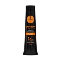 Shampoo Encorpa Cabelo 500Ml - Haskell