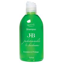 Shampoo Fortalece E Protege Jaborandi & Babosa 520ml