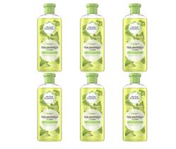 Shampoo Herbal Essences Tea-Lightfully Clean 6x300ml