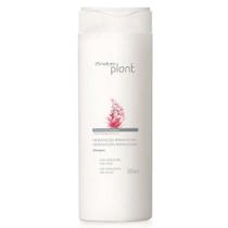 Shampoo Hidratação Reparadora Plant 300ml - Personalizando