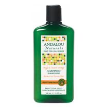 Shampoo Hidratante Andalou Naturals com Óleo de Argan & Shea - 11.5 Oz