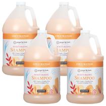 Shampoo Hidratante Ginger Lily Farms Coco Mango 3,78 L x4