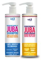 Shampoo Higienizando E Condicionandor A Juba Widi Care 500ml