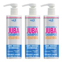 Shampoo Higienizando Juba Wd 500ml Limpeza Inteligente Kit 3