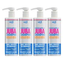 Shampoo Higienizando Juba Wd 500ml Limpeza Inteligente Kit 4