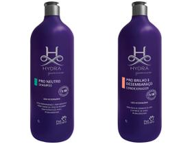 Shampoo Hydra Pro Neutro 1 L + Cond. Brilho E Desembaraço 1 L