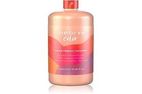Shampoo Inebrya Color Perfect, Proteção de Cor