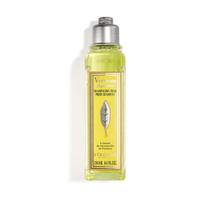 Shampoo L'Occitane Citrus Verbena 250mL com Verbena Orgânica