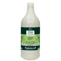Shampoo Liso Blindado Bothânico Efeito Disciplinante 1 Litro
