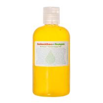 Shampoo Living Libations Organic Seabuckthorn 240 ml Clean Beauty Shampoo Living Libations Organic Seabuckthorn 240 ml Clean Beauty