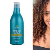 Shampoo Modelador de Cachos Perfect Curly 500 ml DYUSAR