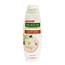 Shampoo para cabelo Shampoo para cabelo